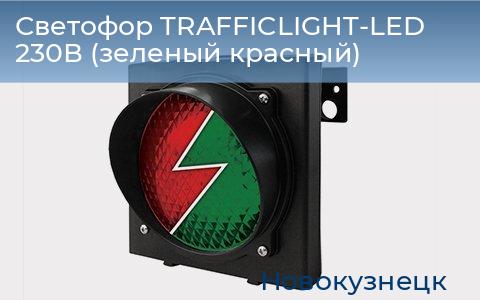 Светофор TRAFFICLIGHT-LED 230В (зеленый+красный), novokuznetsk.doorhan.ru