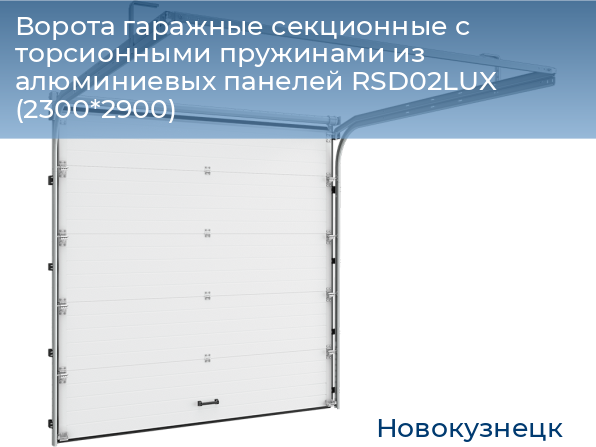 Ворота гаражные секционные с торсионными пружинами из алюминиевых панелей RSD02LUX (2300*2900), novokuznetsk.doorhan.ru