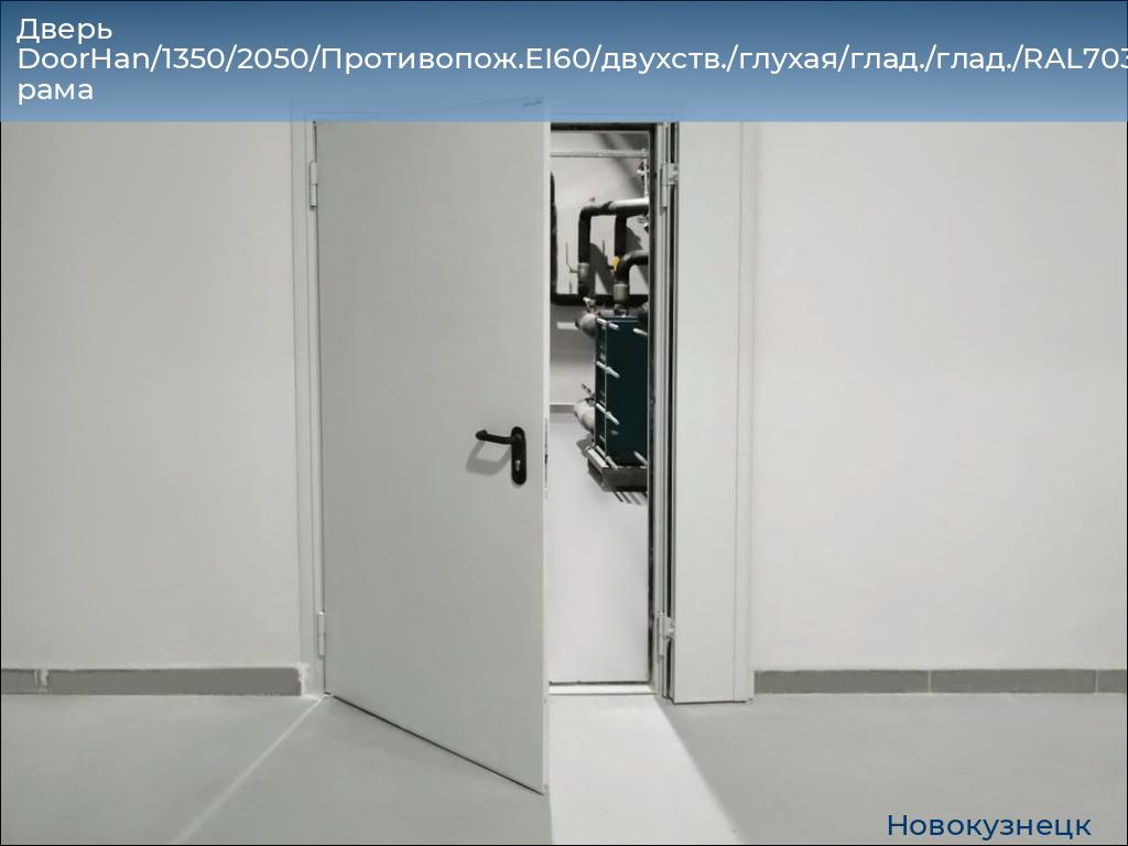 Дверь DoorHan/1350/2050/Противопож.EI60/двухств./глухая/глад./глад./RAL7035/лев./угл. рама, novokuznetsk.doorhan.ru
