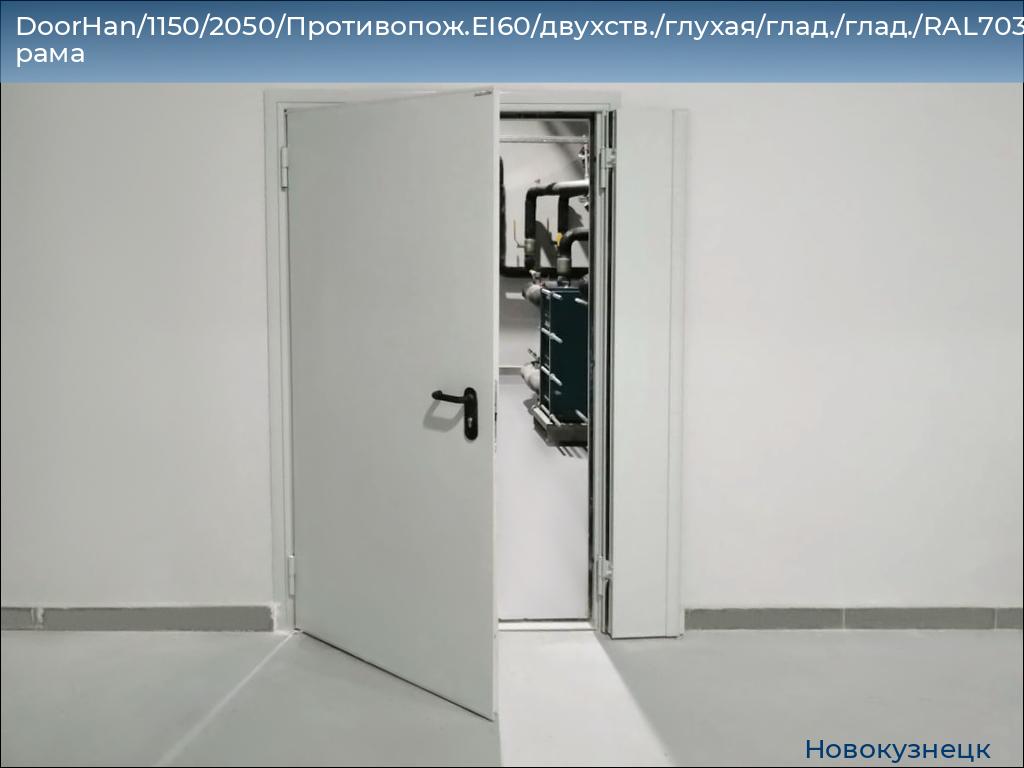 DoorHan/1150/2050/Противопож.EI60/двухств./глухая/глад./глад./RAL7035/лев./угл. рама, novokuznetsk.doorhan.ru