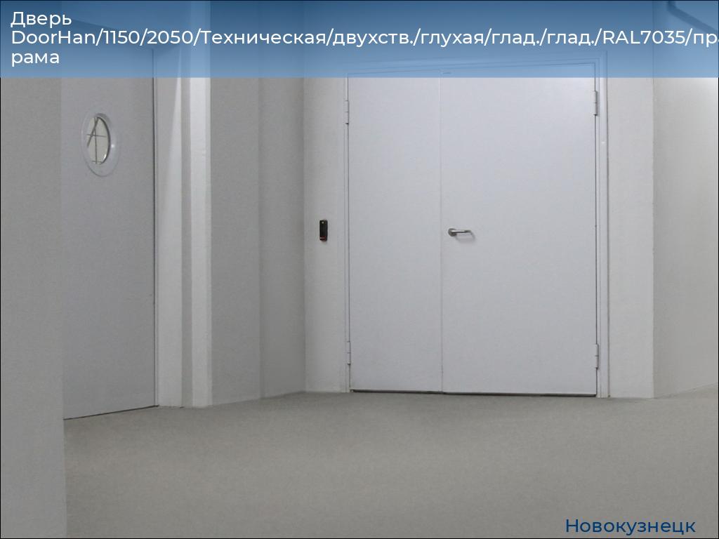 Дверь DoorHan/1150/2050/Техническая/двухств./глухая/глад./глад./RAL7035/прав./угл. рама, novokuznetsk.doorhan.ru