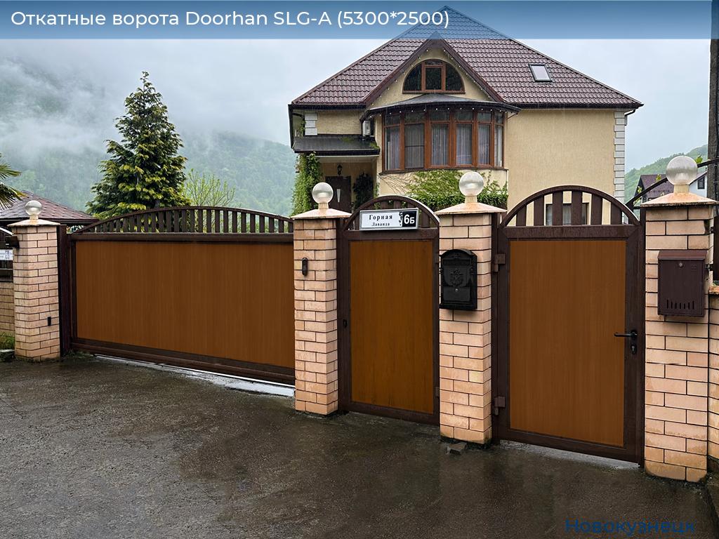 Откатные ворота Doorhan SLG-A (5300*2500), novokuznetsk.doorhan.ru