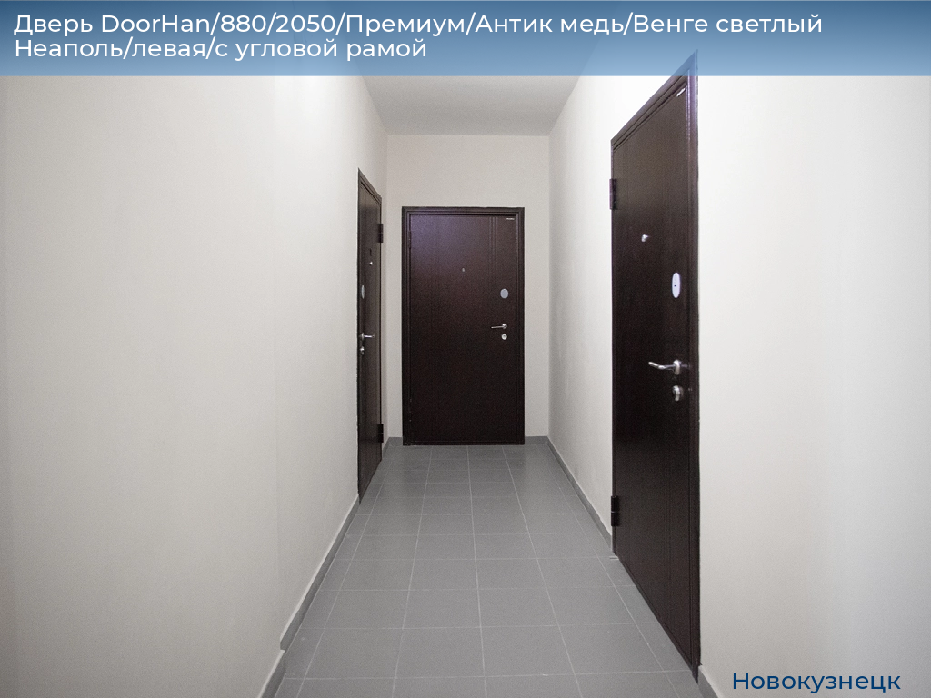 Дверь DoorHan/880/2050/Премиум/Антик медь/Венге светлый Неаполь/левая/с угловой рамой, novokuznetsk.doorhan.ru