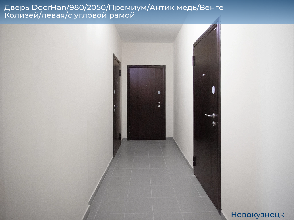 Дверь DoorHan/980/2050/Премиум/Антик медь/Венге Колизей/левая/с угловой рамой, novokuznetsk.doorhan.ru