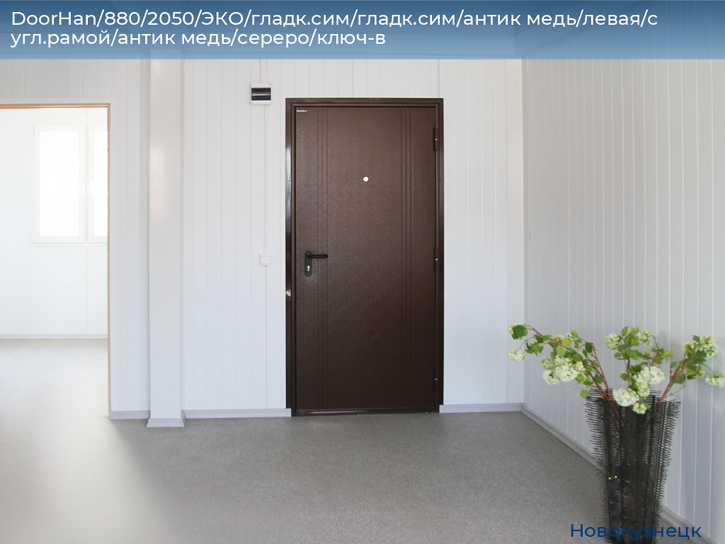 DoorHan/880/2050/ЭКО/гладк.сим/гладк.сим/антик медь/левая/с угл.рамой/антик медь/сереро/ключ-в, novokuznetsk.doorhan.ru